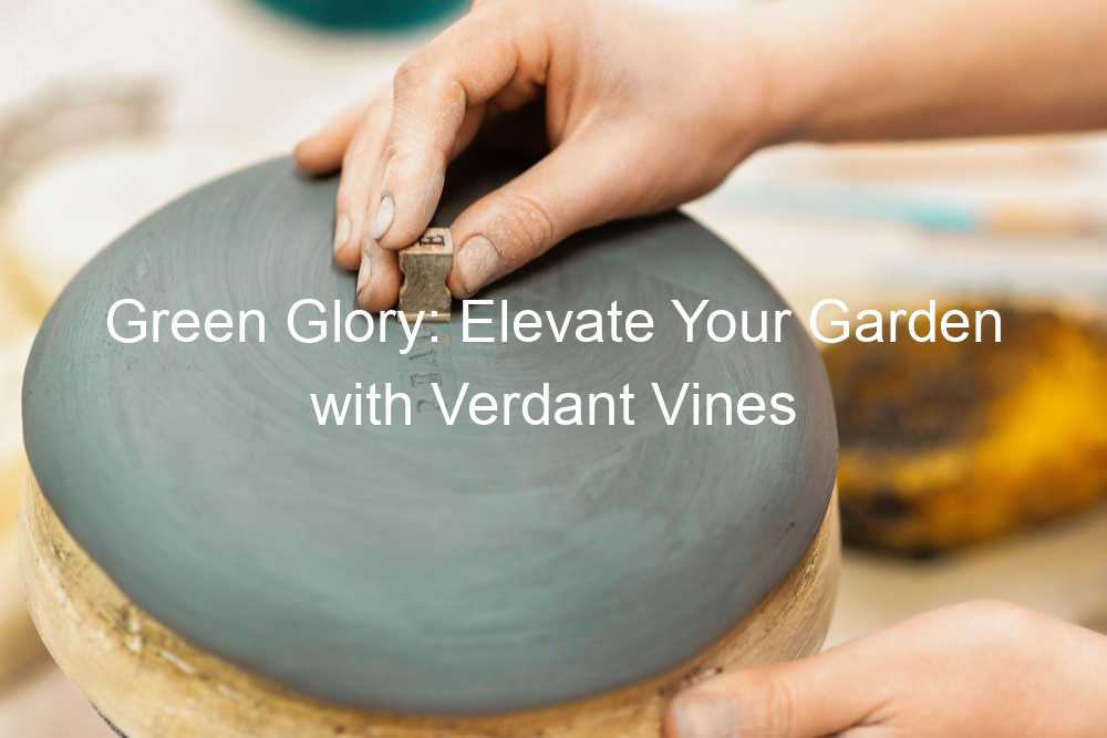 Green Glory: Elevate Your Garden with Verdant Vines